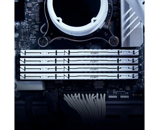  ОЗУ Kingston Fury Beast Expo KF556C36BWE-32 DDR5 32GB 5600MHz RTL Gaming PC5-44800 CL36 DIMM 288-pin 1.25В kit single rank с радиатором Ret 