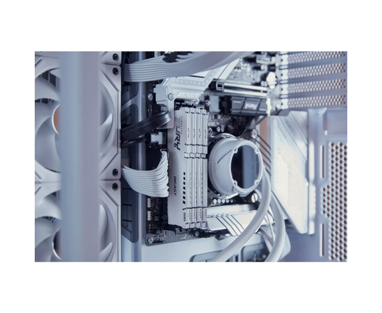  ОЗУ Kingston Fury Beast Expo KF556C36BWE-32 DDR5 32GB 5600MHz RTL Gaming PC5-44800 CL36 DIMM 288-pin 1.25В kit single rank с радиатором Ret 